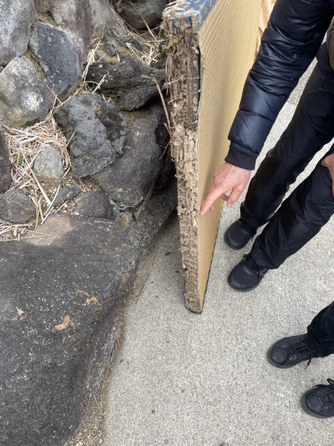 I様邸白蟻被害修繕工事